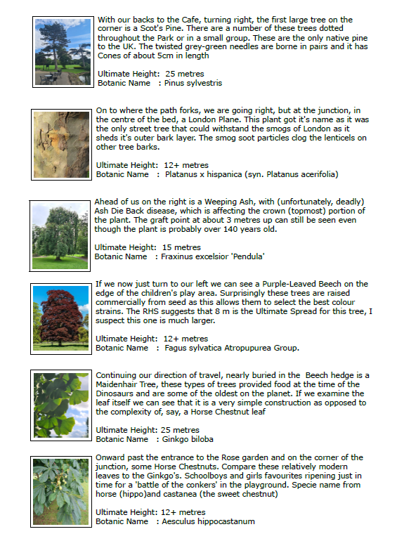 Tree Walk page 1