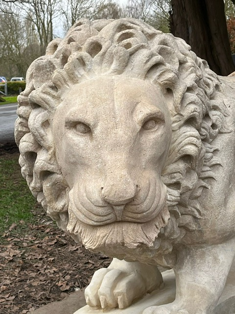 Weelsby Lion 1