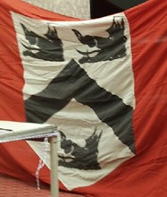flag close up