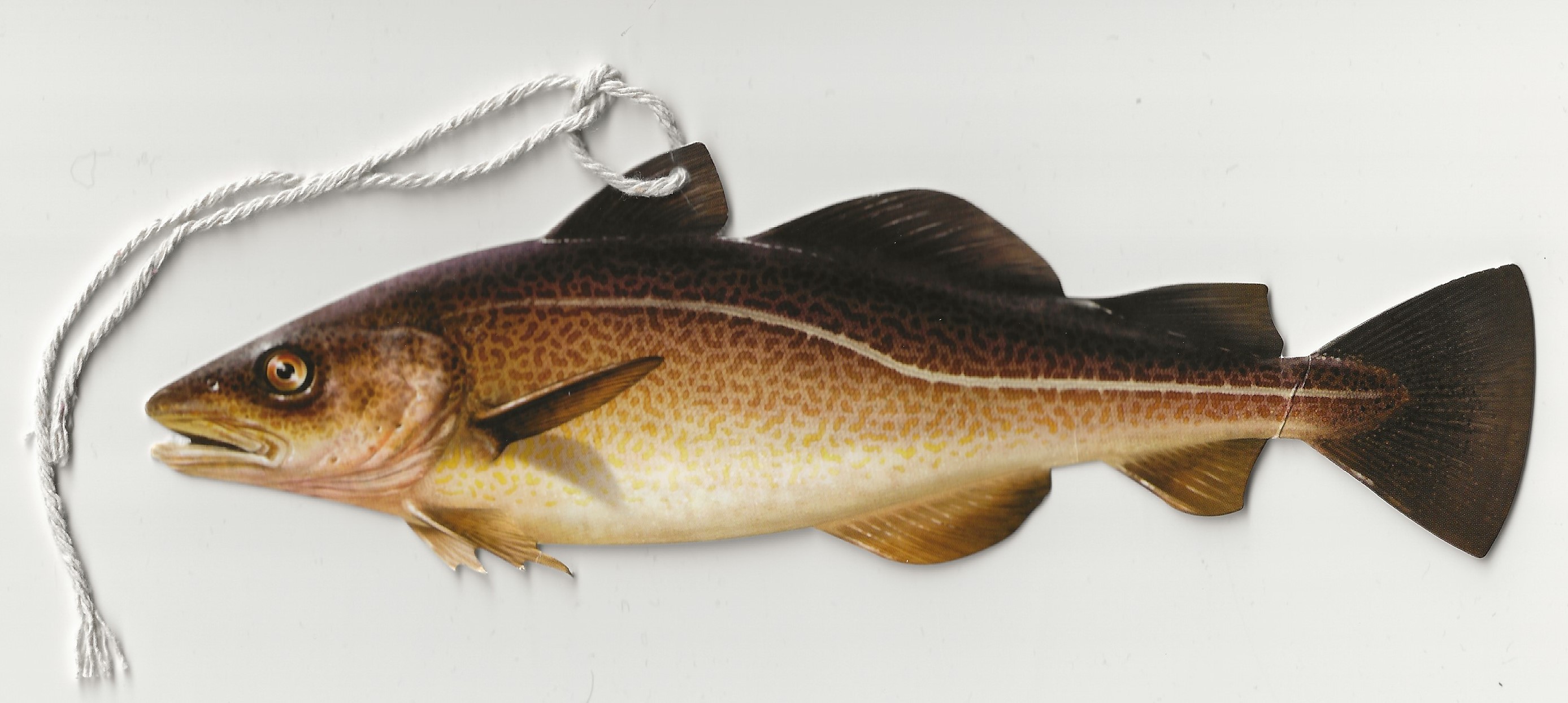 fishing heritage fish 2